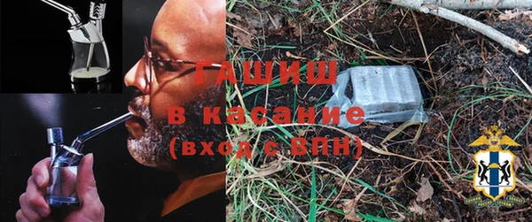 шишки Верхний Тагил